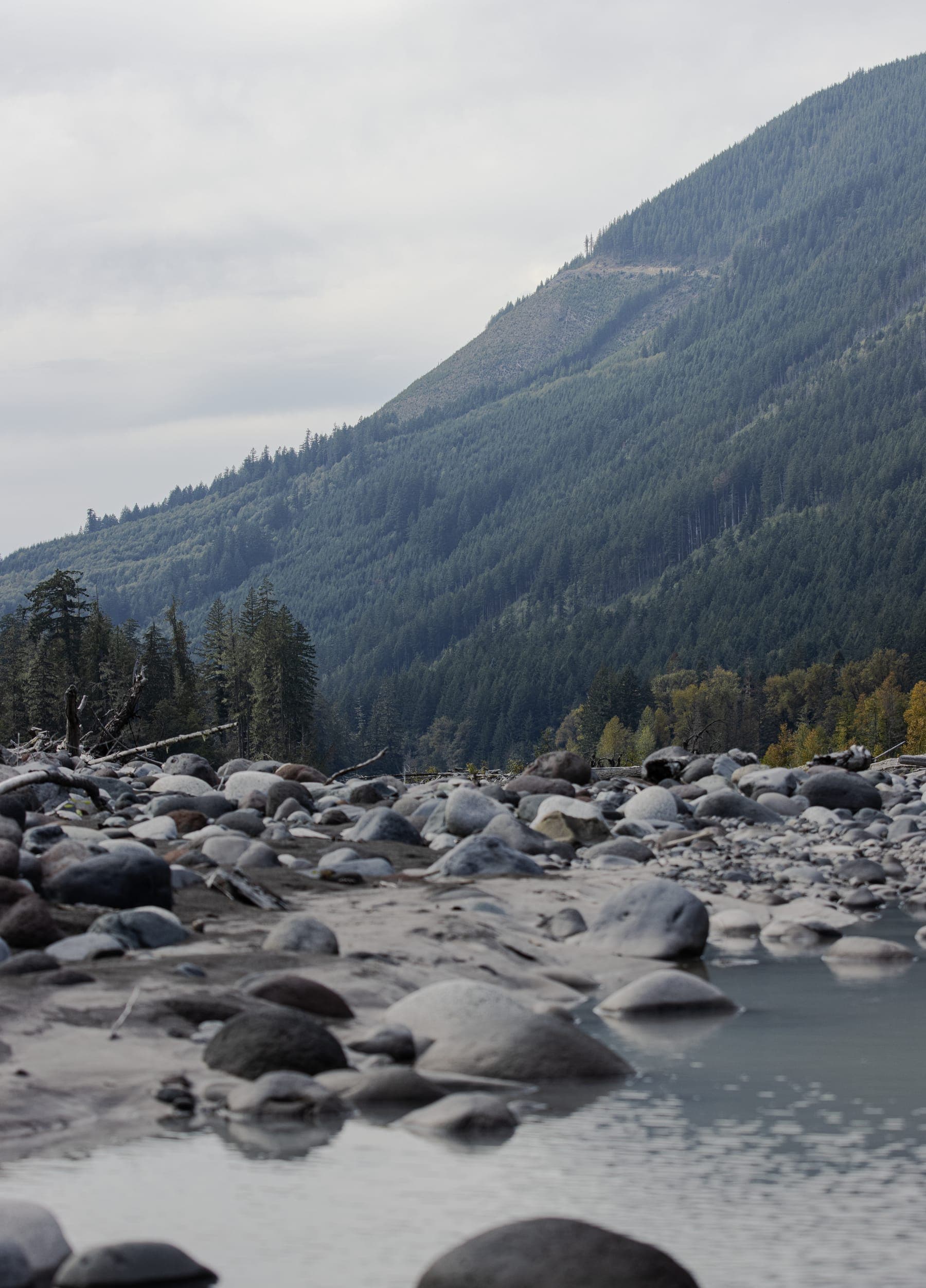 Photo 1 in Landscapes