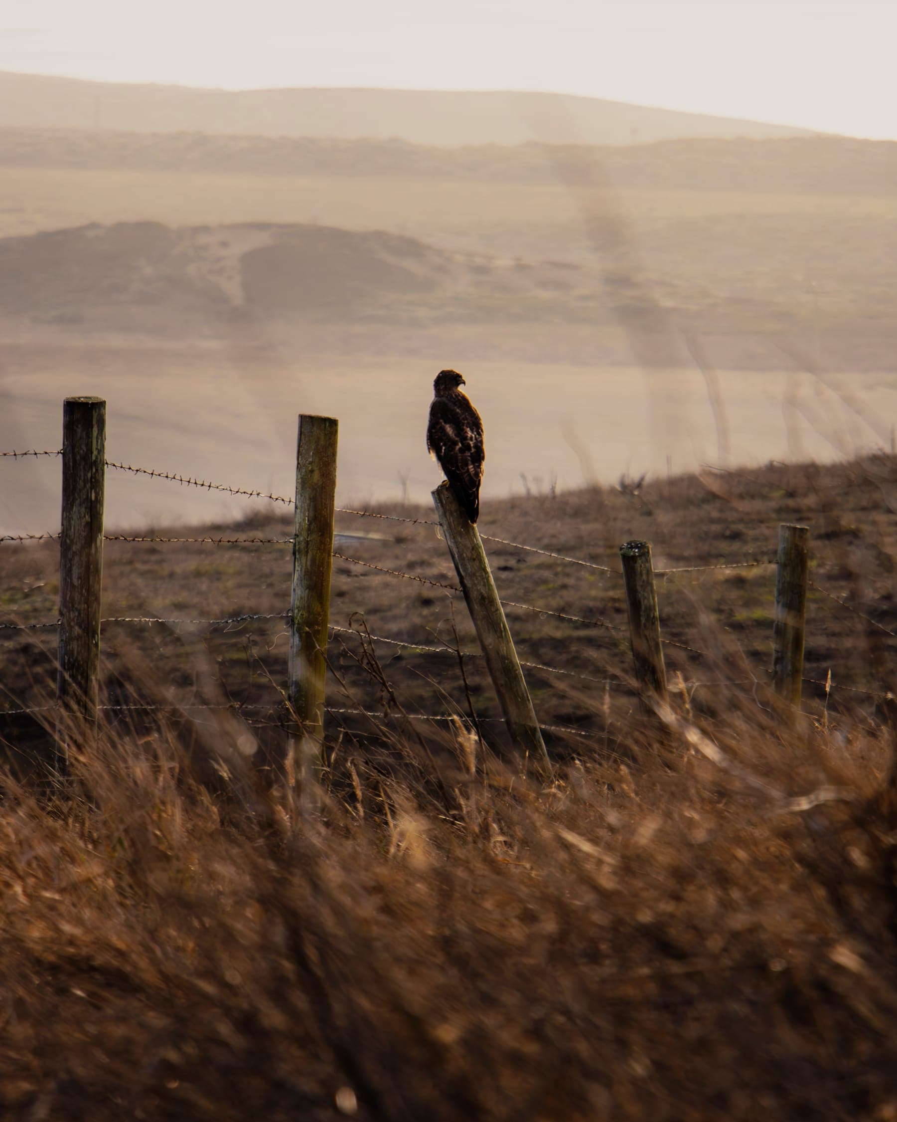 Photo 2 in Landscapes