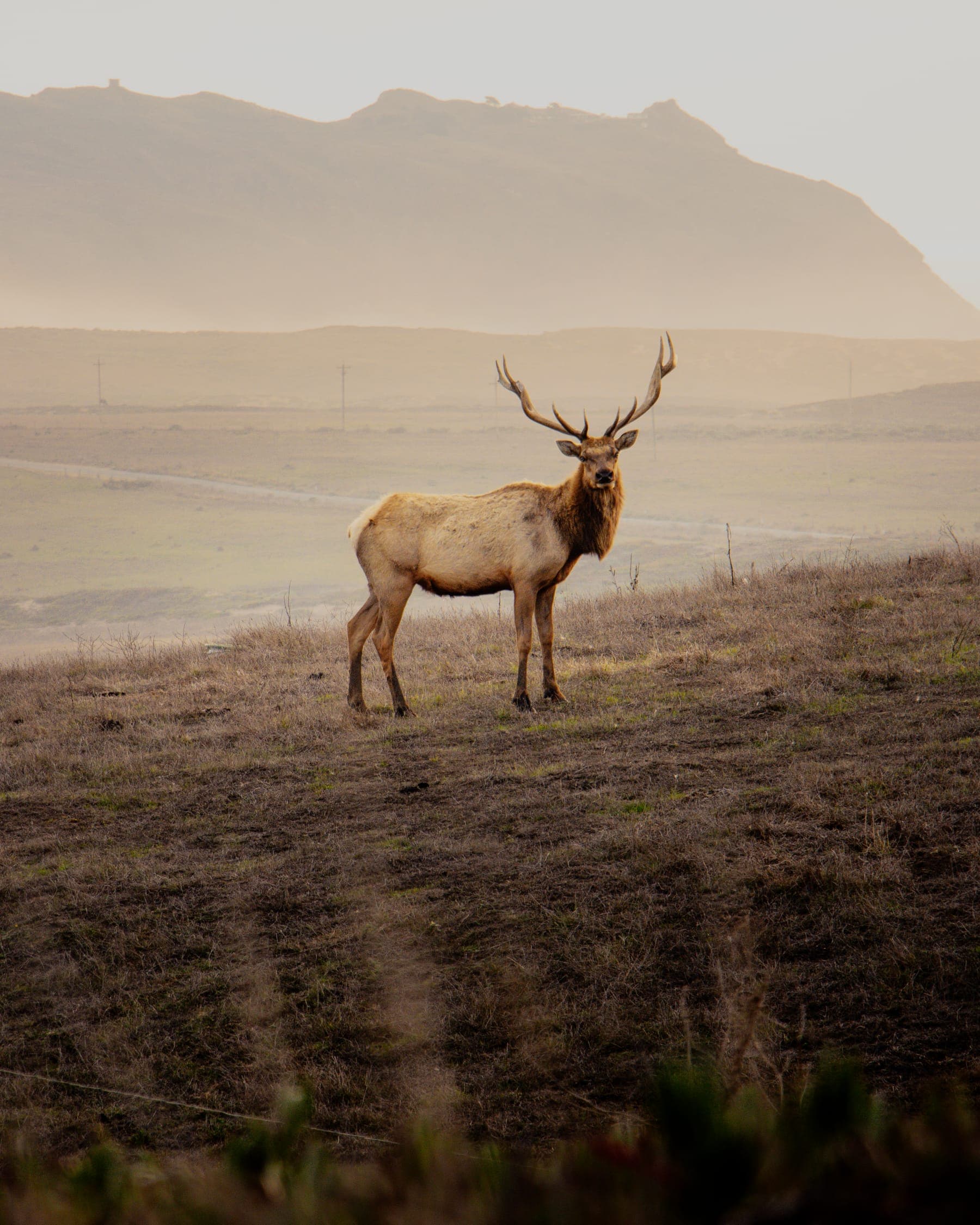 Photo 3 in Landscapes