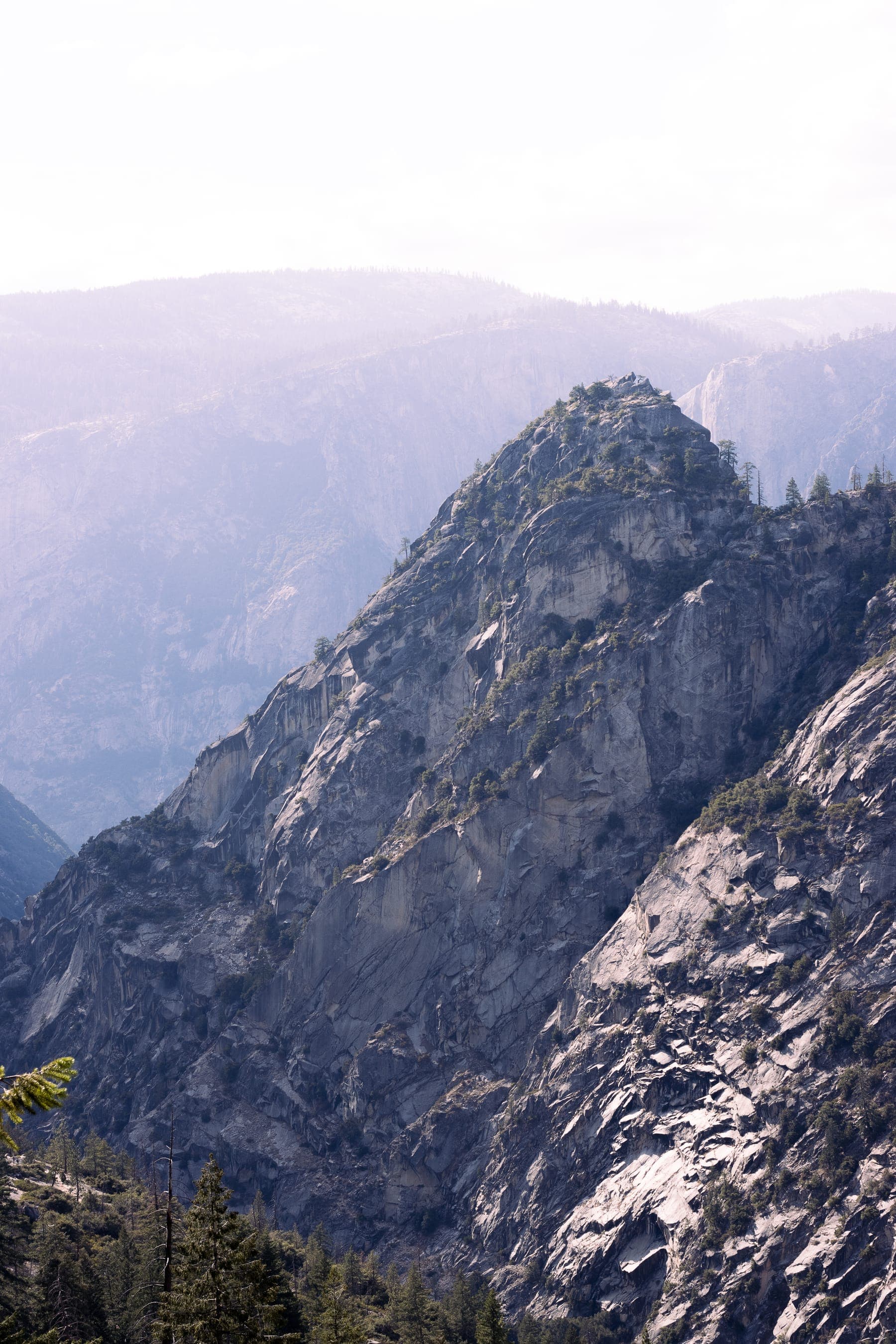 Photo 6 in Landscapes