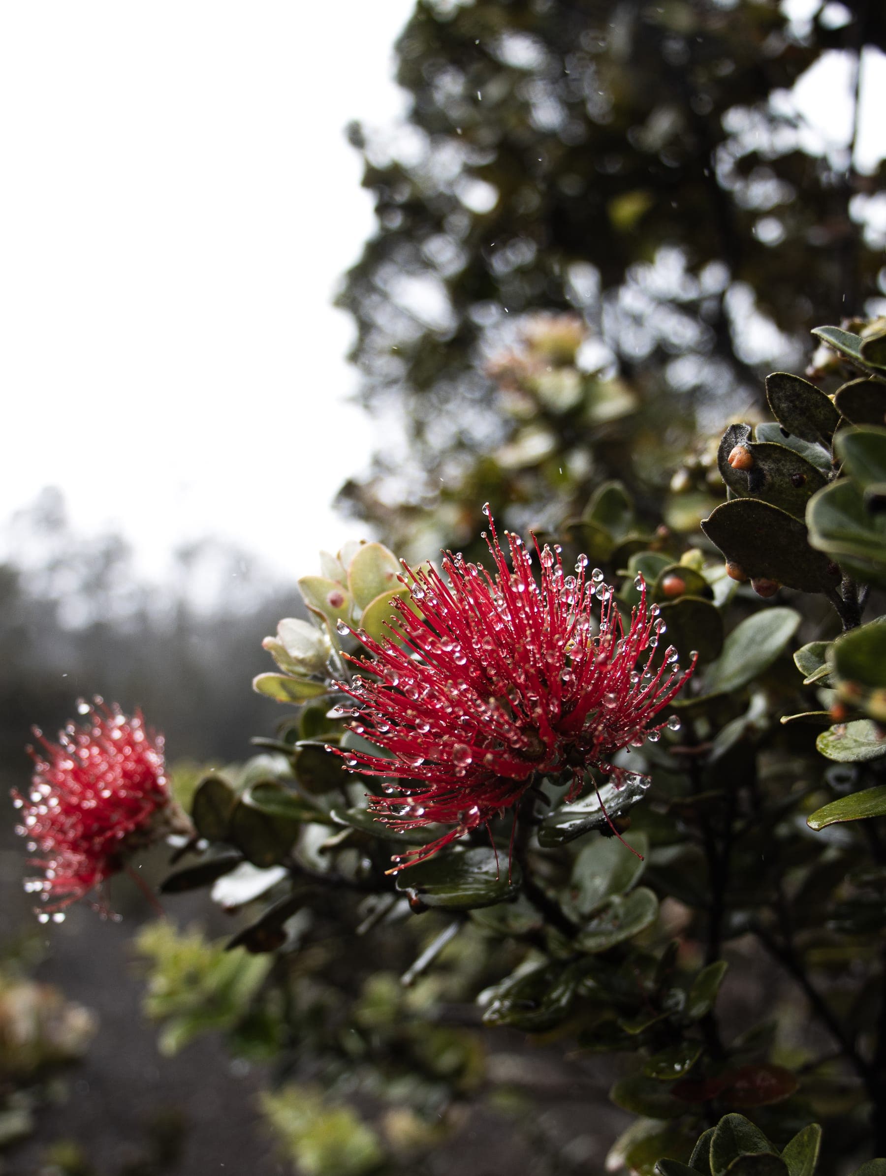 Photo 7 in Landscapes