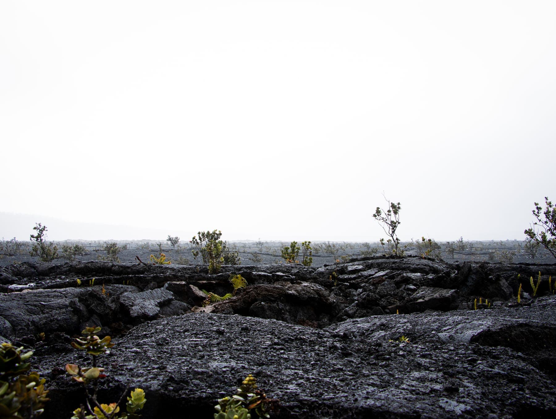 Photo 9 in Landscapes