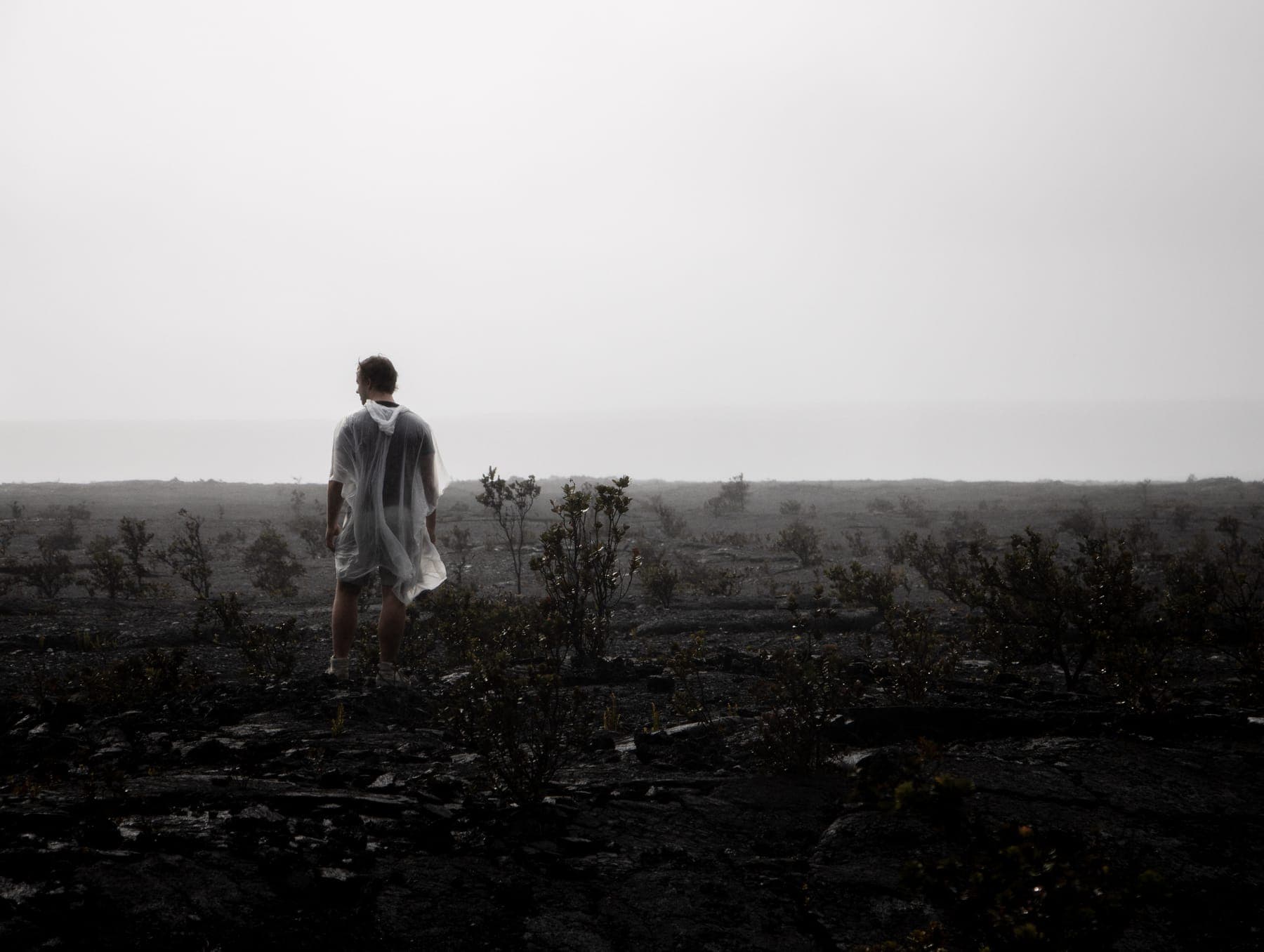 Photo 10 in Landscapes