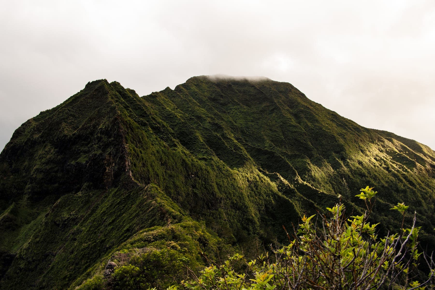 Photo 11 in Landscapes