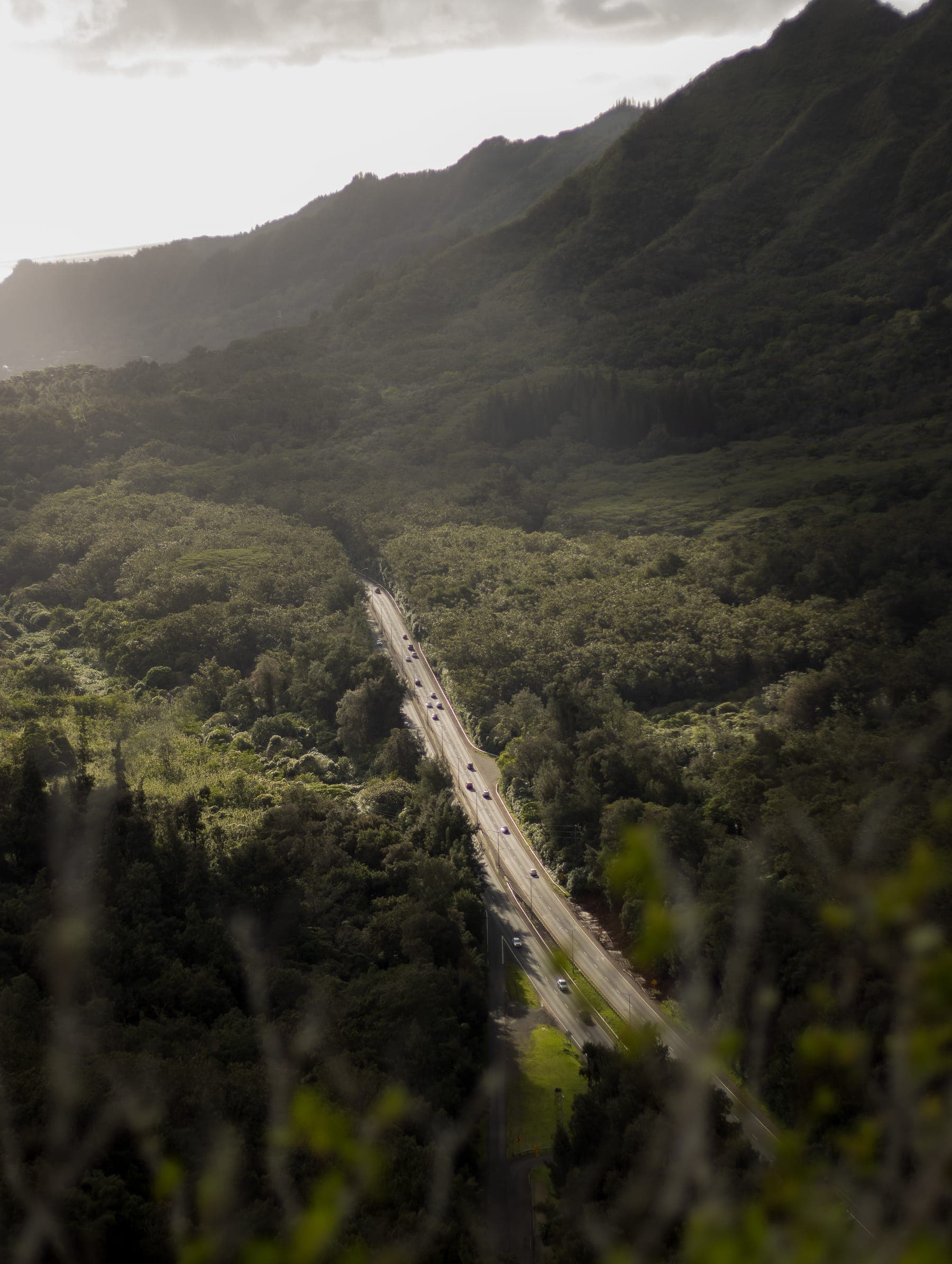 Photo 12 in Landscapes