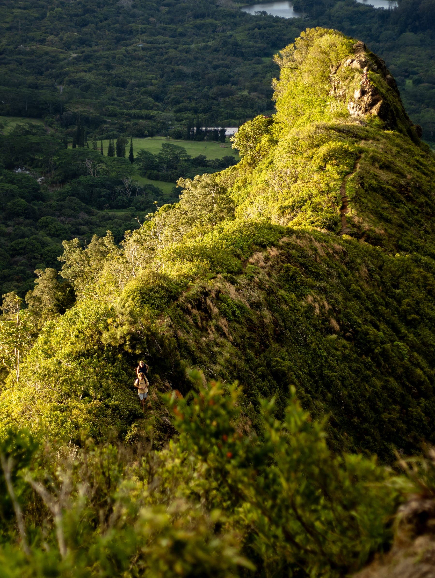 Photo 13 in Landscapes