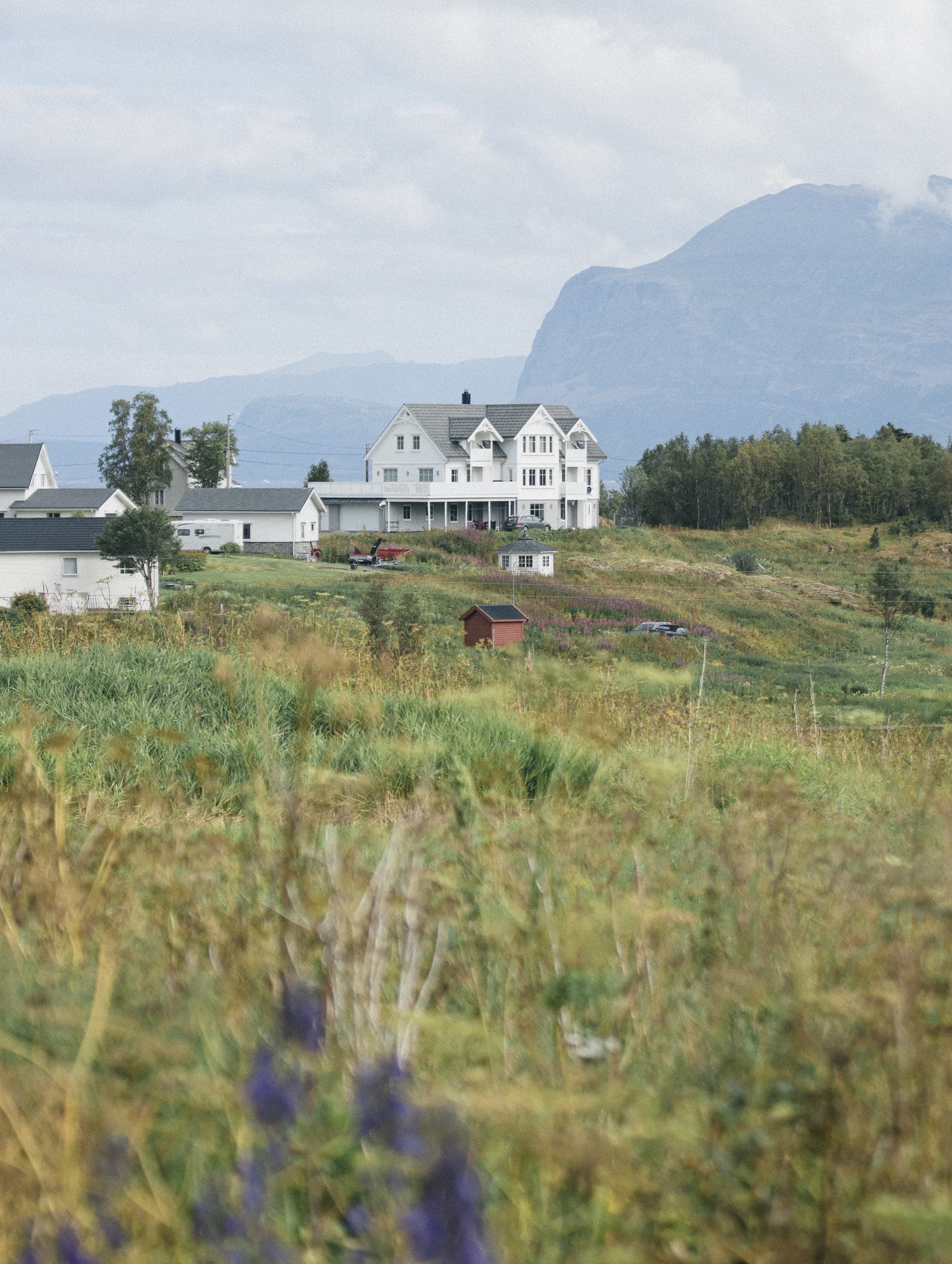 Photo 14 in Landscapes